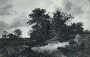 RUISDAEL, Jacob Isaackszon van House in a Grove oil on canvas
